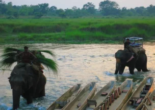 Chitwan National Park view