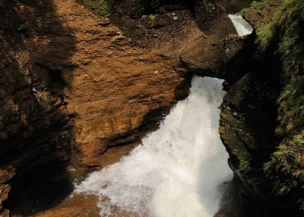 Davis Fall